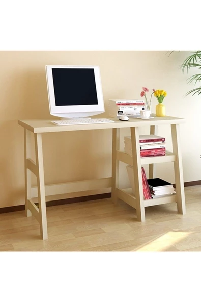 Raybi Lake Montessori Çalışma Masası