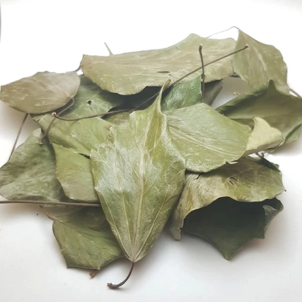 Sarmaşık Yaprağı Hedera Semen 50 gr, Derya Eren - 4