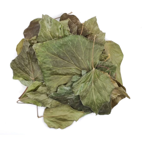 Sarmaşık Yaprağı Hedera Semen 50 gr, Derya Eren - 2