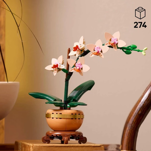 LEGO 10343 Botanicals Mini Orkide - 5