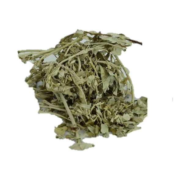 İğde Yaprağı (Elaeagnus angustifolia) 1 kg, Derya Eren - 2
