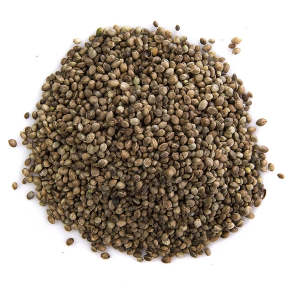 Kendir, Çedene Tohumu 100 gr, Derya Eren - 2