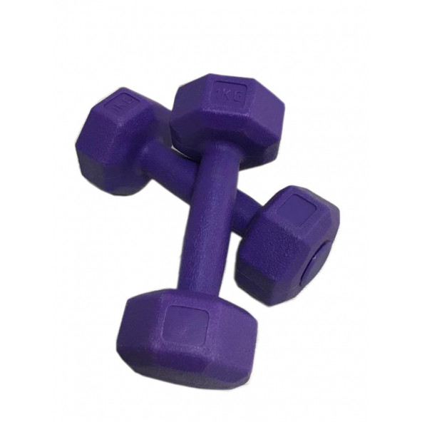 Leyaton 1 Kg Plastik Dambıl Set 2 Adet Mor Renk - 2