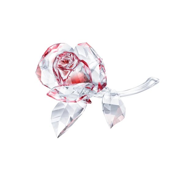 5428561 Swarovski Biblo Blossoming Rose, Red