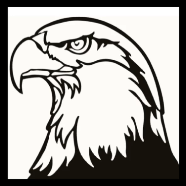 Kartal Başı Model 2 Sticker 50 x 50 cm