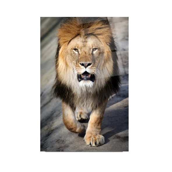 Aslan Cam Tablo | Hediyelik, Dekoratif, Ofis, Mutfak - 3