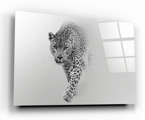 Leopar Cam Tablo | Hediyelik, Dekoratif, Ofis, Mutfak