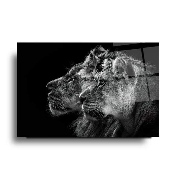 Aslan Cam Tablo | Hediyelik, Dekoratif, Ofis, Mutfak - 3