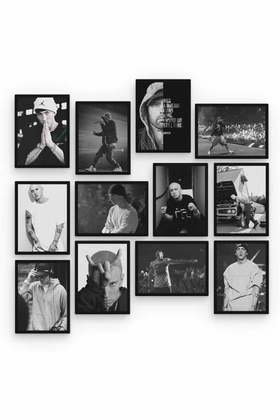 Eminem 12 Parça Ahşap Mdf Tablo Zlltb231 - 2