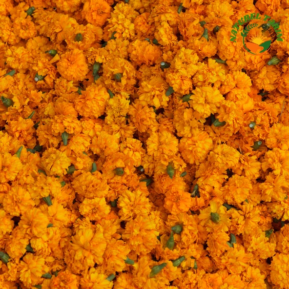 NATUREL KADİFE ÇİCEĞİ REÇELİ - 5