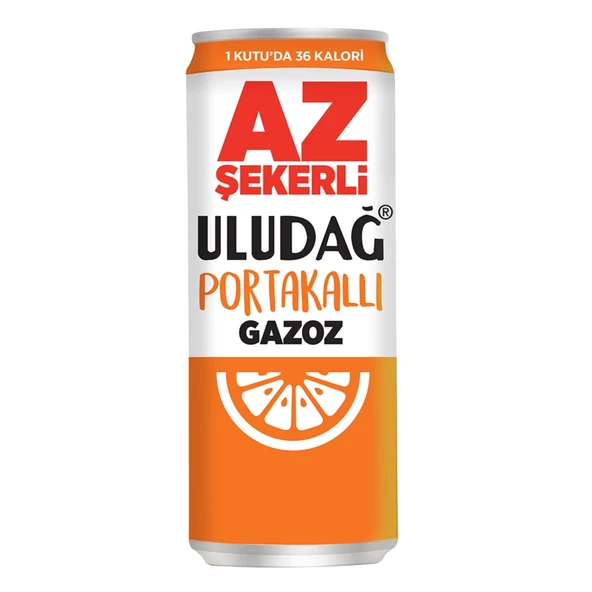 ULUDAĞ EFS.AZ ŞEK.PORT.GAZOZ 330ML