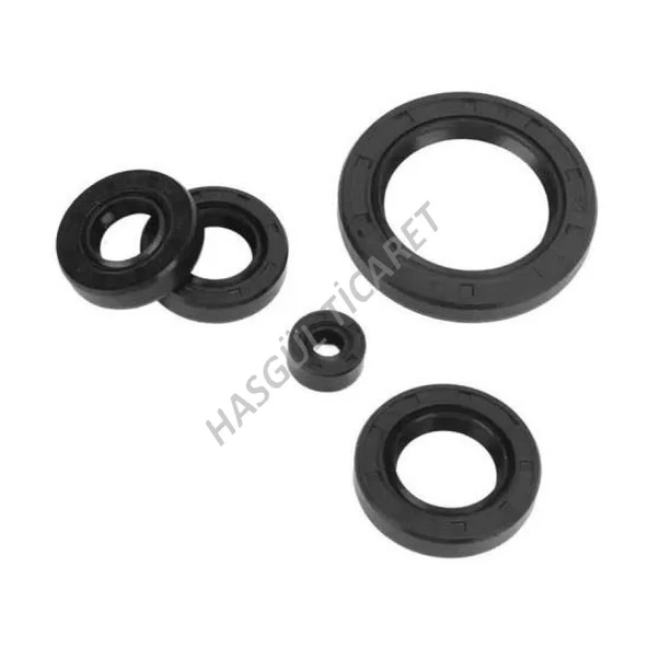 Hsgl Motorsiklet CG 125 Krank Keçesi Komple Takım 5 li - Resim 3