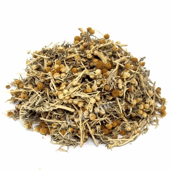 Pelin Otu Artemisia absinthium 50 gr, Derya Eren - 2