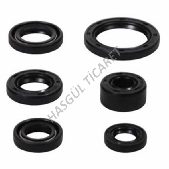 Hsgl Motorsiklet Cub 100 110 125 Motor Keçesi Komple Takım 6 lı Cub Modeller keçe takımı - 4