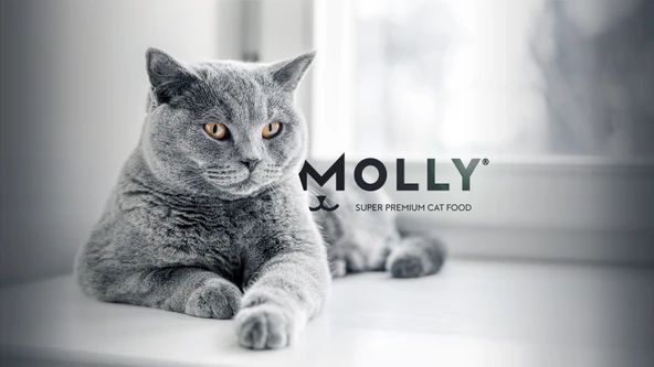 MOLY KARİDES SOMONLU 2 KG KEDİ MAMASI ORJİNAL KAPALI PAKET - 2
