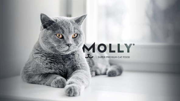 CATTY MULTİCOLOR KEDİ MAMASI 15 KG - 2