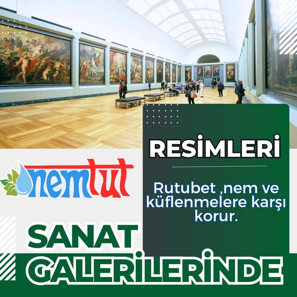 Nem Tutucu Giderici Rutubet Emici Kötü Koku Giderici Küf Ve Korozyon Önleyici 3 Kutu 6 Paket 3 Kg - Resim 5