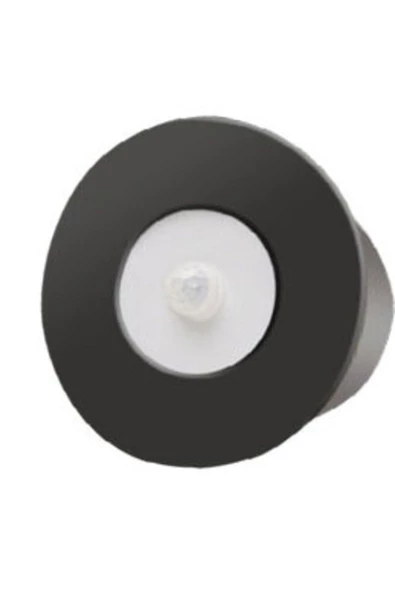 Mat Siyah Metal Kasa, 3 Watt YUVARLAK SENSÖRLÜ Gün Işığı İç Mekan Merdiven Ve Basamak Armatürü