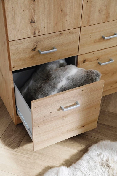 Tdesigno Aksu  Giyinme Dolabı - Çok Amaçlı Dolap - Gardırop 90 Cm-2 Kapaklı-2 Çekmeceli - 6