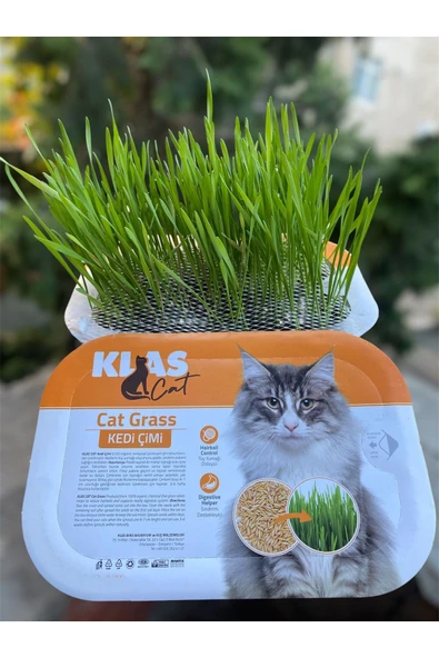 KorPet Kedi Çimi Tüy Yumağı Önleyici Fileli Kedi Çimi Organik ürün görseli 1