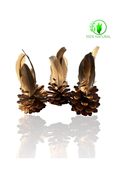 vet advice Tüylü Kozalak Kedi Oyuncağı Doğal %100 ürün görseli 1