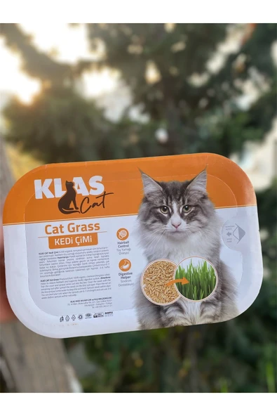 KorPet Kedi Çimi Tüy Yumağı Önleyici Fileli Kedi Çimi Organik - Resim 2