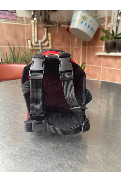 vet advice Kedi Ve Köpekler İçin Sırt çantası - Resim 3