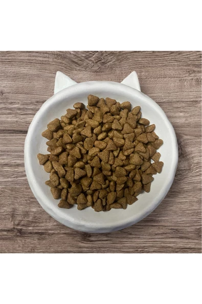 Kedi Köpek Kulak Figürlü Seramik Mama Kabı - 3