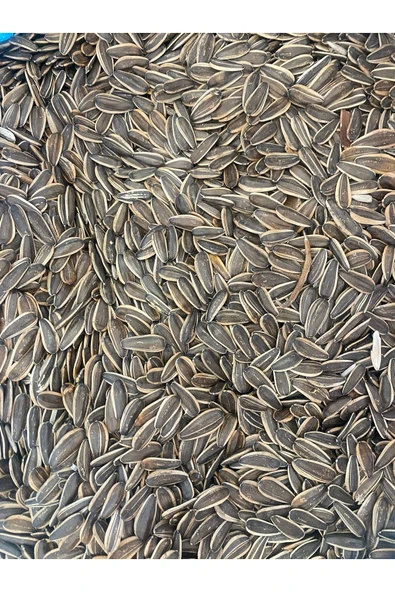 vet advice Papağan Muhabbet kuşı çekirdek yemi 1 kg ürün görseli 1