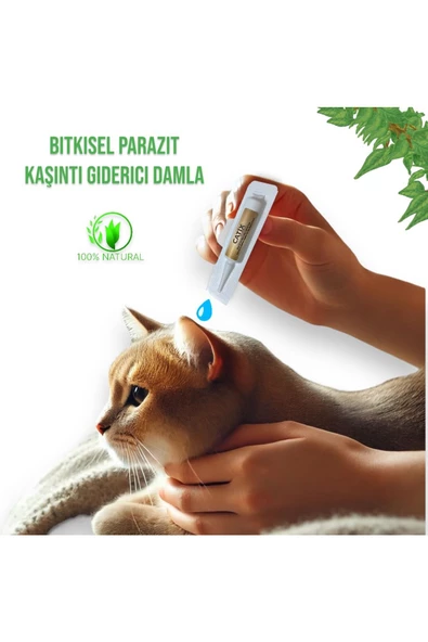 vet advice Kediler Için Dış Derma Parazit Kaşıntı Giderici Tüy Damlası 3x1 ml - 2