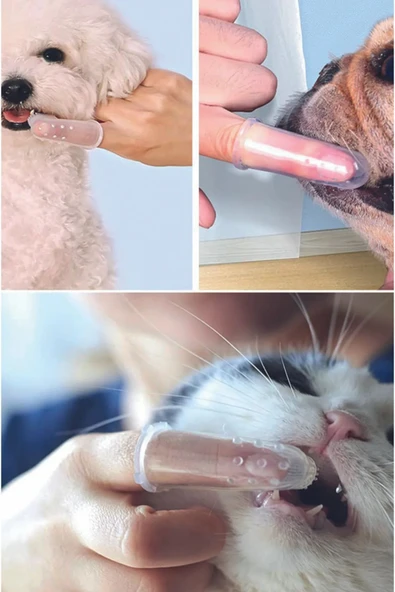 vet advice Kutulu Sterl Bebek,Kedi,köpek Parmak Diş Fırçası PBA İçermez Son Kalite Şeffaf - 2