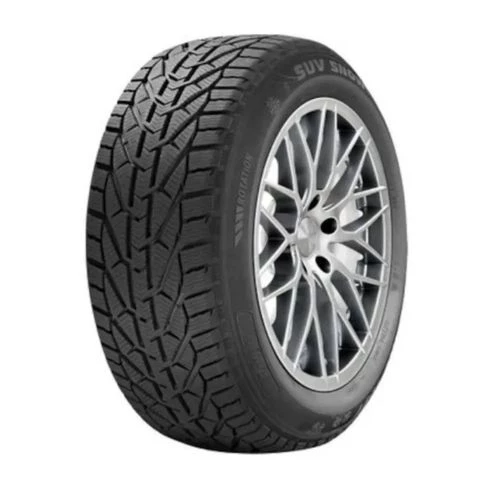 Riken Snow 215/50 R17 95V XL Kış Lastiği - 2024