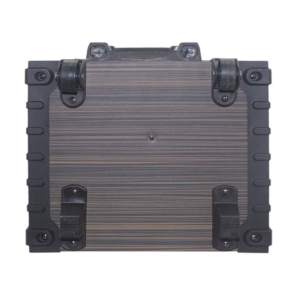 2 Kablosuz Mikrofonlu FM RGB TWS Çift 10inç Karaoke Bluetooth Bavul Taşınabilir Hoparlör LT-910 - 10