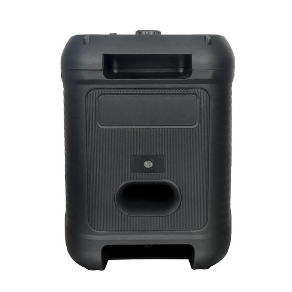 Kablosuz Mikrofonlu FM RGB TWS Çift 8inç Karaoke Bluetooth Taşınabilir Hoparlör GD-907 - 4