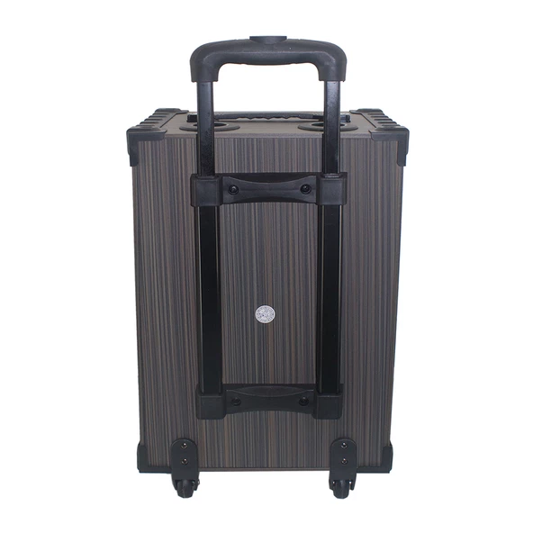 2 Kablosuz Mikrofonlu FM RGB TWS Çift 10inç Karaoke Bluetooth Bavul Taşınabilir Hoparlör LT-910 - 8