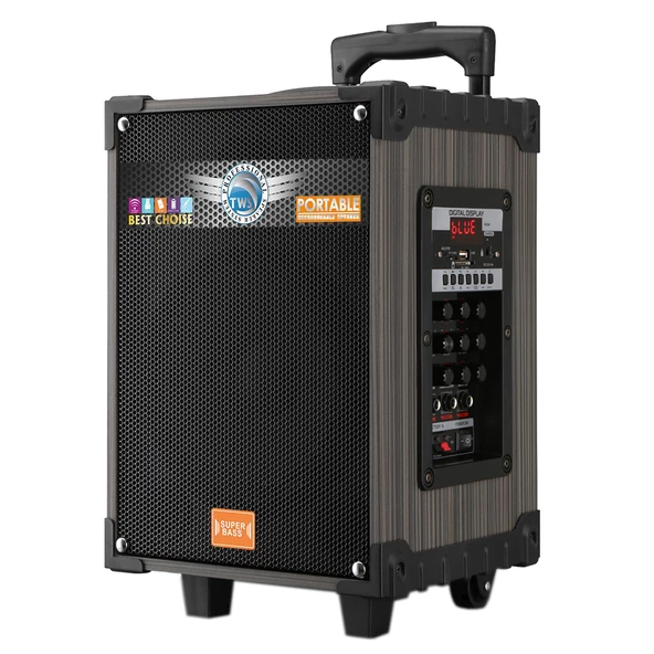 2 Kablosuz Mikrofonlu FM RGB TWS Çift 8inç Karaoke Bluetooth Bavul Taşınabilir Hoparlör LT-908 - 10