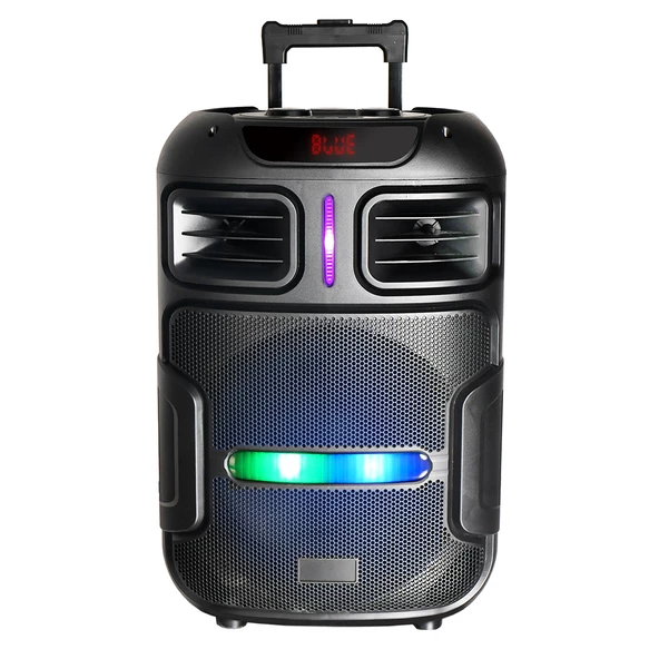 2 Kablosuz Mikrofonlu FM RGB TWS Çift 15inç Karaoke Bluetooth Bavul Taşınabilir Hoparlör GD-1503 - 2