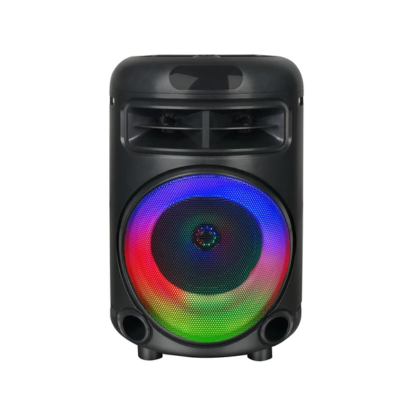 Kablolu Mikrofonlu FM RGB TWS Çift 6.5inç Karaoke Bluetooth Taşınabilir Hoparlör GD-692