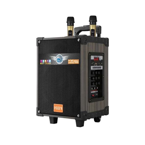 2 Kablosuz Mikrofonlu FM RGB TWS Çift 10inç Karaoke Bluetooth Bavul Taşınabilir Hoparlör LT-910 - 12