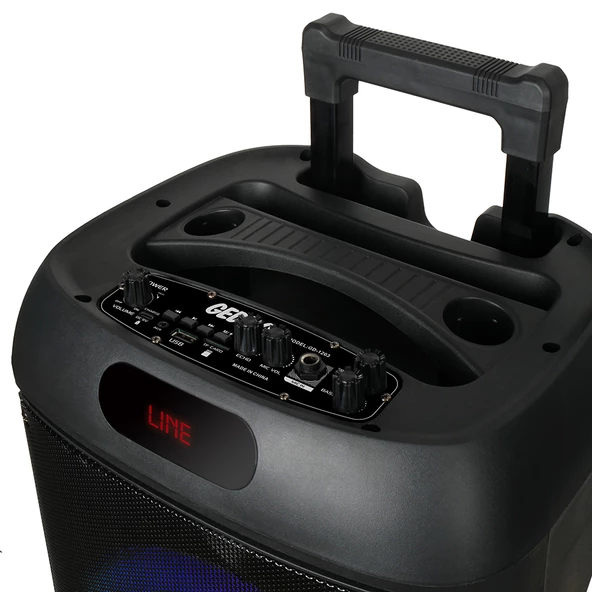 Kablosuz Mikrofonlu FM RGB TWS Çift 12inç Karaoke Bluetooth Bavul Taşınabilir Hoparlör GD-1203 - 2