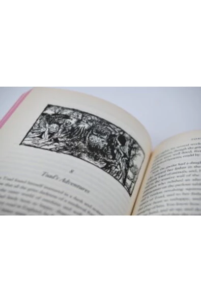 Demirören Yayınları  The Little Prince- The Collector's Edition - 4