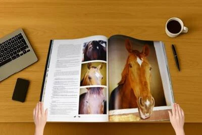 Demirören Yayınları  Yoldaşımız At - 7