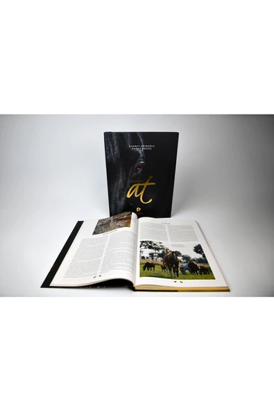 Demirören Yayınları  Yoldaşımız At - 5