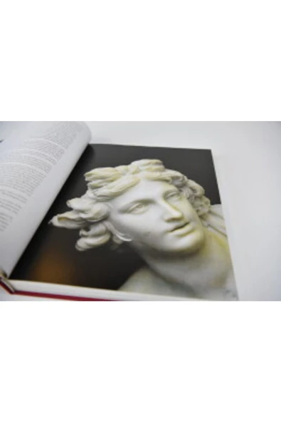 Demirören Yayınları  Bernini and the Rome of Alexander VII - 3