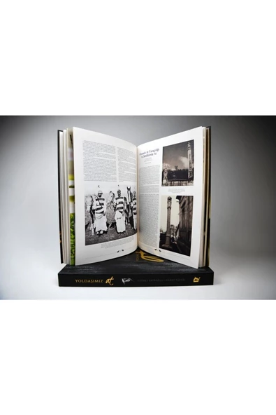 Demirören Yayınları  Yoldaşımız At - 2