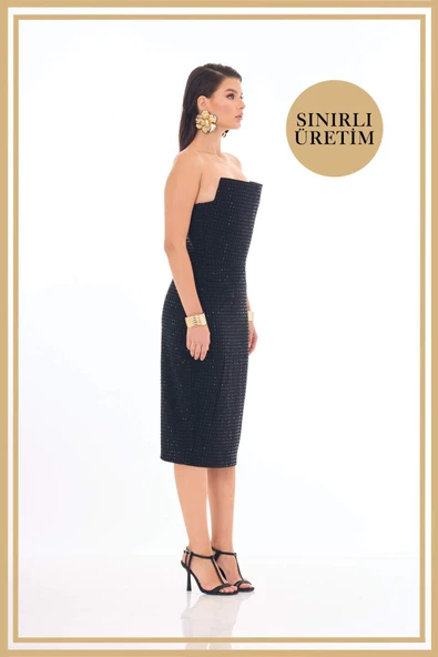 ROSALINDA Siyah Midi Elbise - 3
