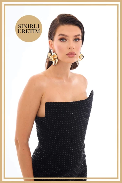 ROSALINDA Siyah Midi Elbise - 2