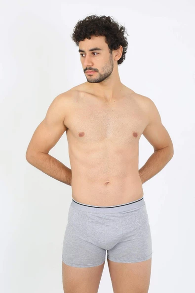 Akbeniz Erkek Büyük Beden Pamuklu Likralı Boxer Gri 40134 - 3
