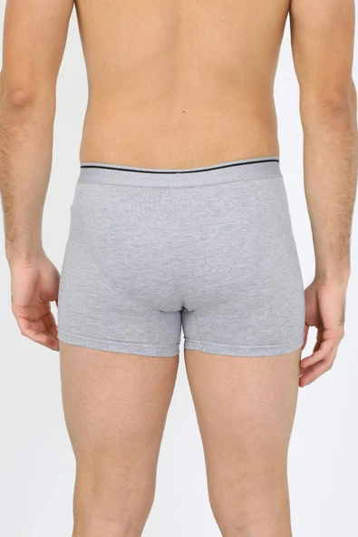 Akbeniz Erkek Büyük Beden Pamuklu Likralı Boxer Gri 40134 - 5