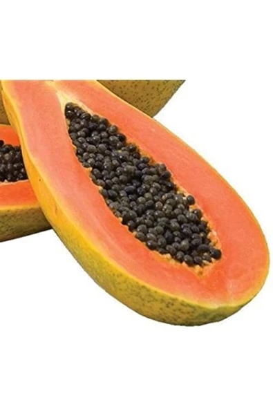 Vipfoni Papaya (ağaç Kavunu) Tohumu